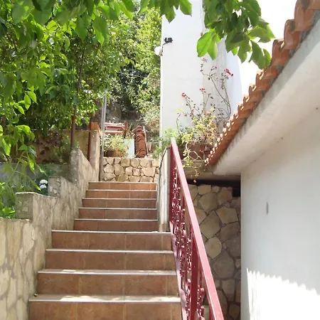 Ana Apartman *