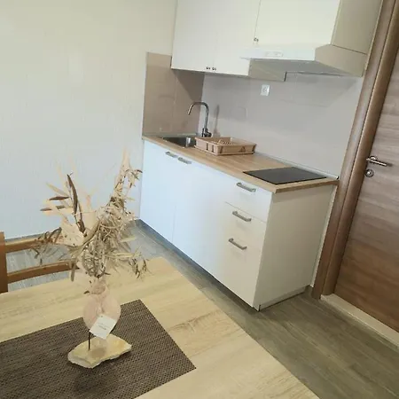 Apartment Ana